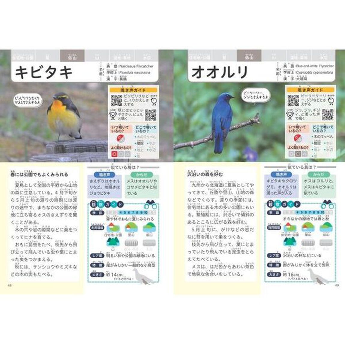みんなが知りたい！日本の野鳥　観察に役立つ見わけ方・聞きわけ方がわかる本　スマホ・ＰＣで聞ける鳴き声付き
