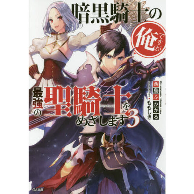 暗黒騎士の俺ですが最強の聖騎士（パラディン）をめざします　３