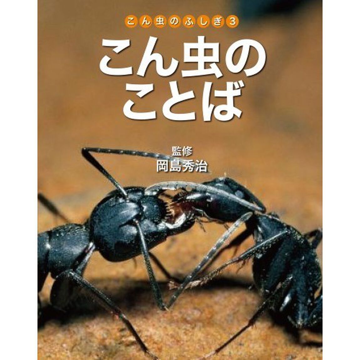 こん虫のふしぎ　３「こん虫のことば」