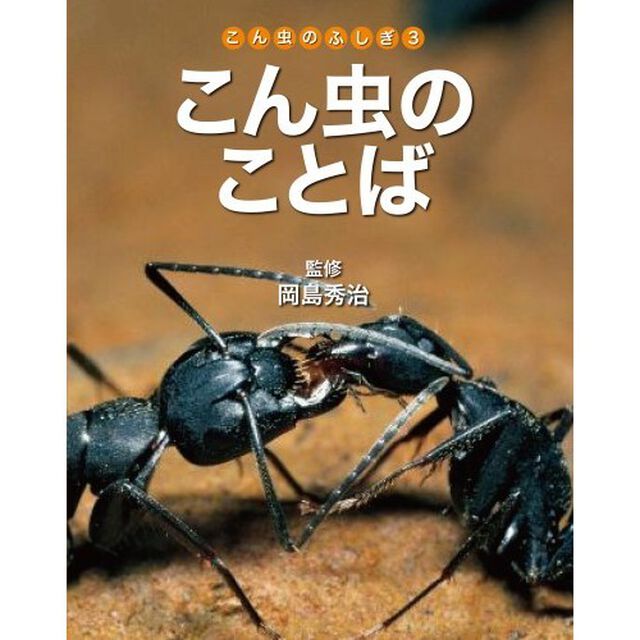 こん虫のふしぎ　３「こん虫のことば」