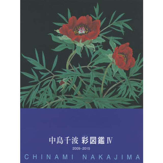 中島千波彩（いろいろ）図鑑　４「２００９－２０１５」