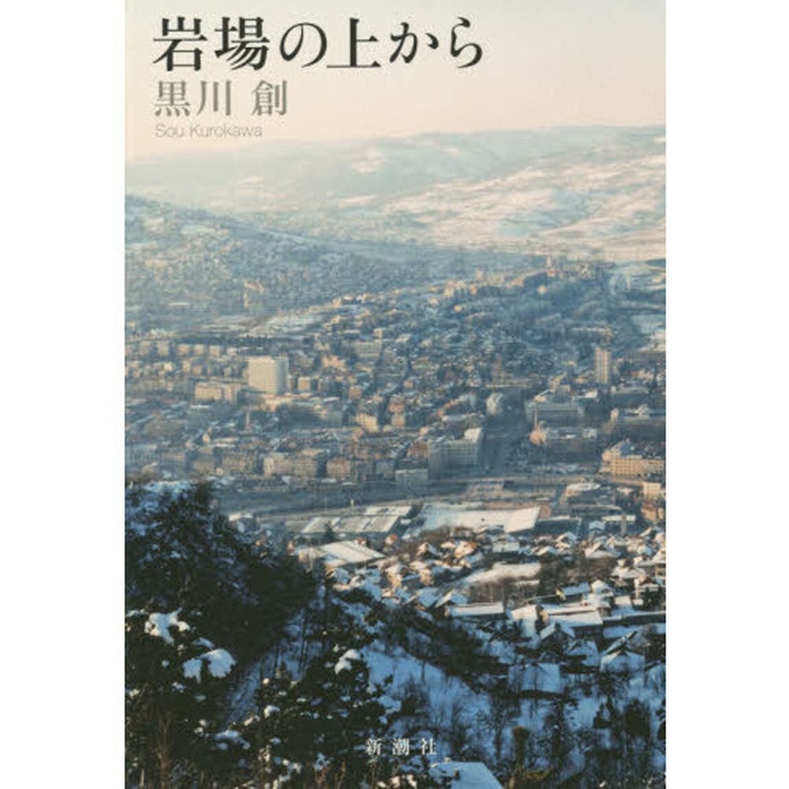 岩場の上から
