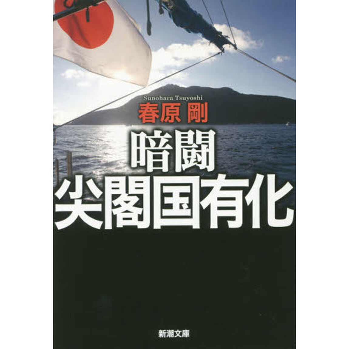 暗闘尖閣国有化