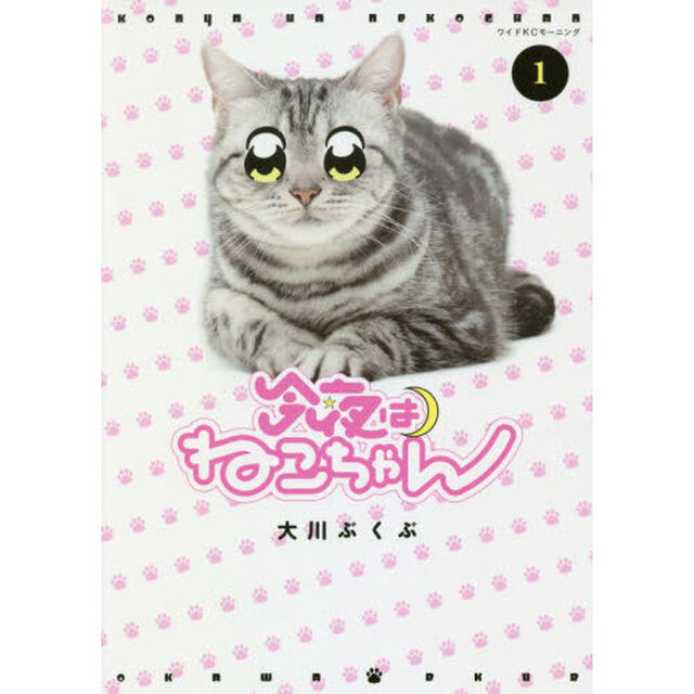 今夜はねこちゃん　１