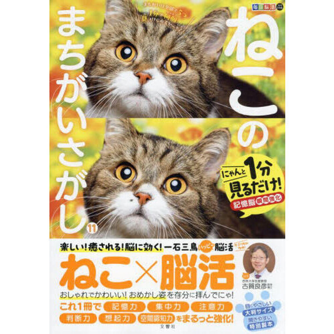 ねこのまちがいさがし　にゃんと１分見るだけ！記憶脳瞬間強化　１１