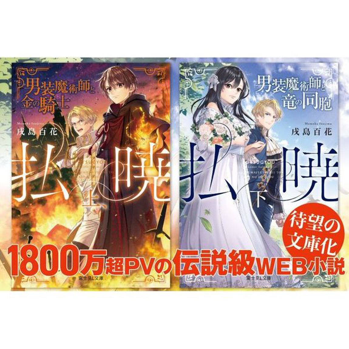 払暁　上「男装魔術師と金の騎士」