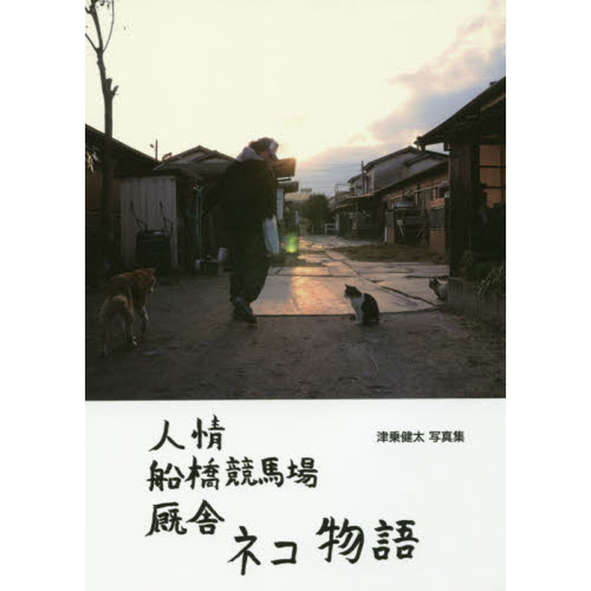 人情船橋競馬場厩舎ネコ物語　津乗健太写真集