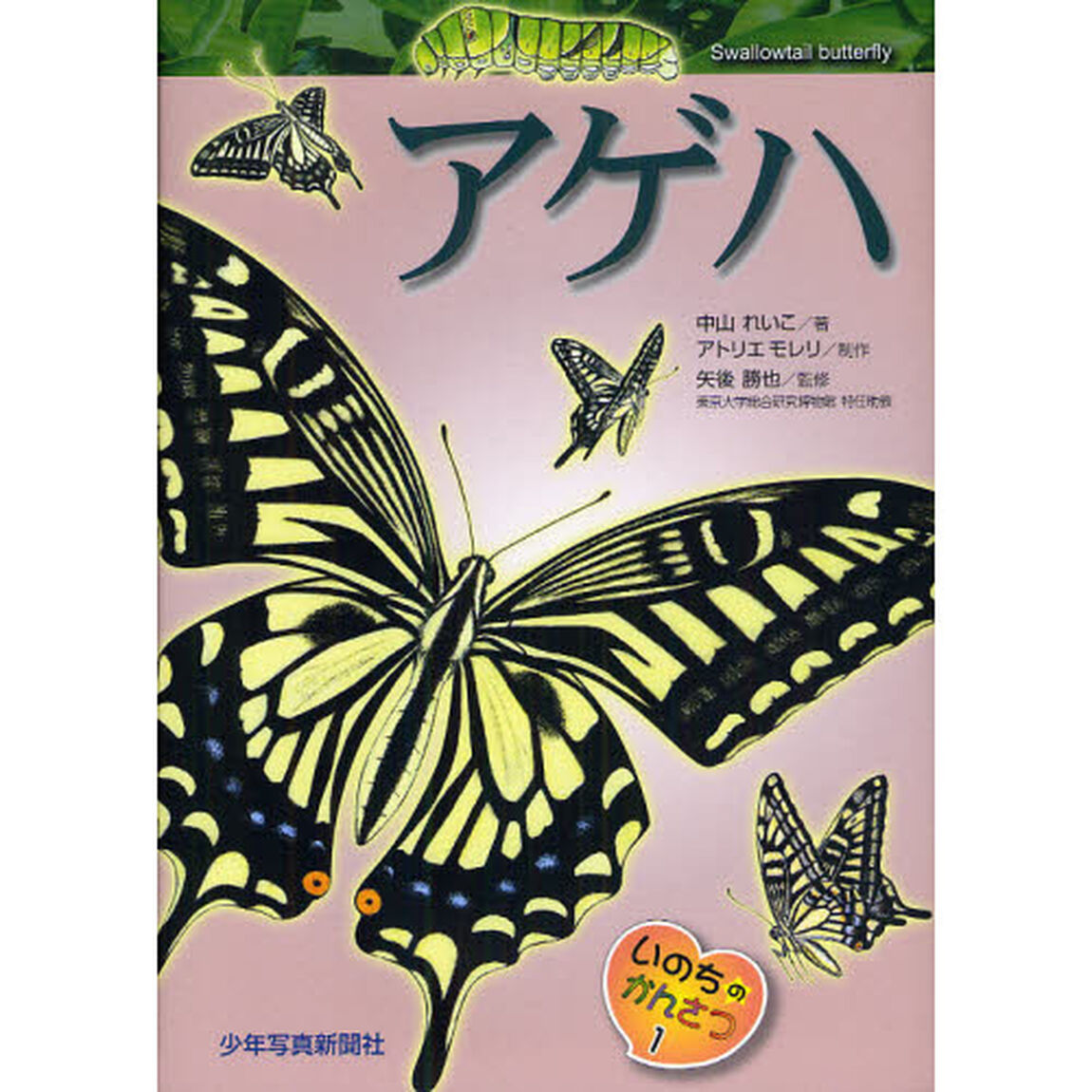 アゲハ