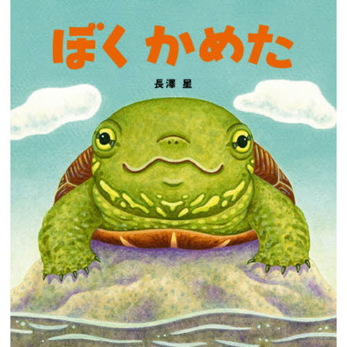 ぼくかめた