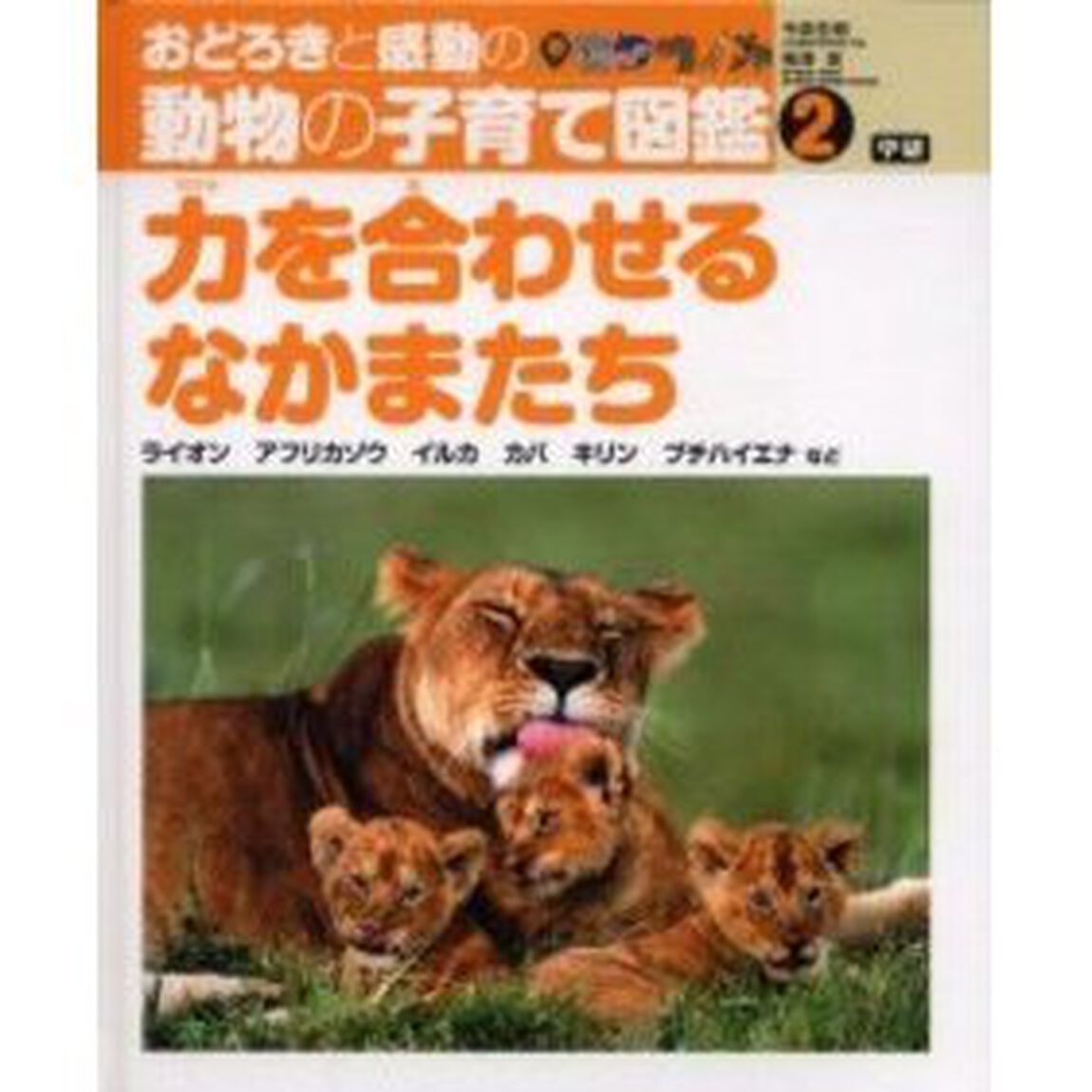 おどろきと感動の動物の子育て図鑑　２「力を合わせるなかまたち　ライオン　アフリカゾウ　イルカ　カバ　キリン　ブチハイエナなど」