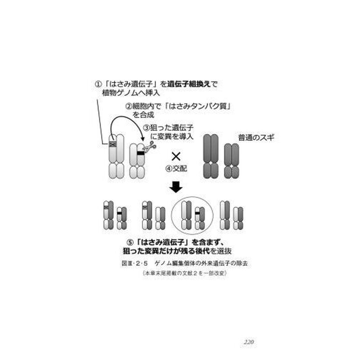 事例にみる林業に活かすＪ－クレジット制度