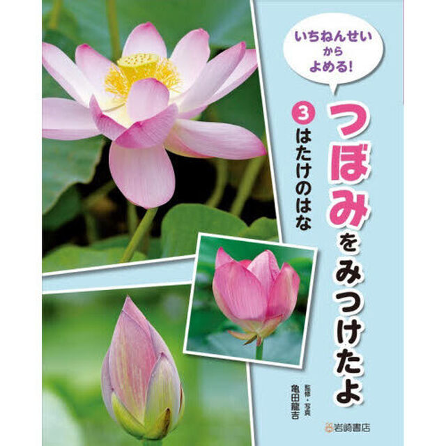いちねんせいからよめる！つぼみをみつけたよ　３「はたけのはな」