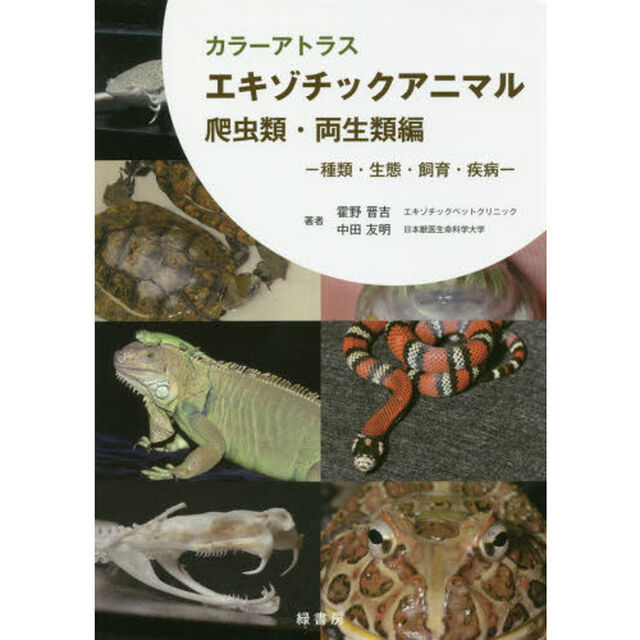 カラーアトラスエキゾチックアニマル　種類・生態・飼育・疾病　爬虫類・両生類編