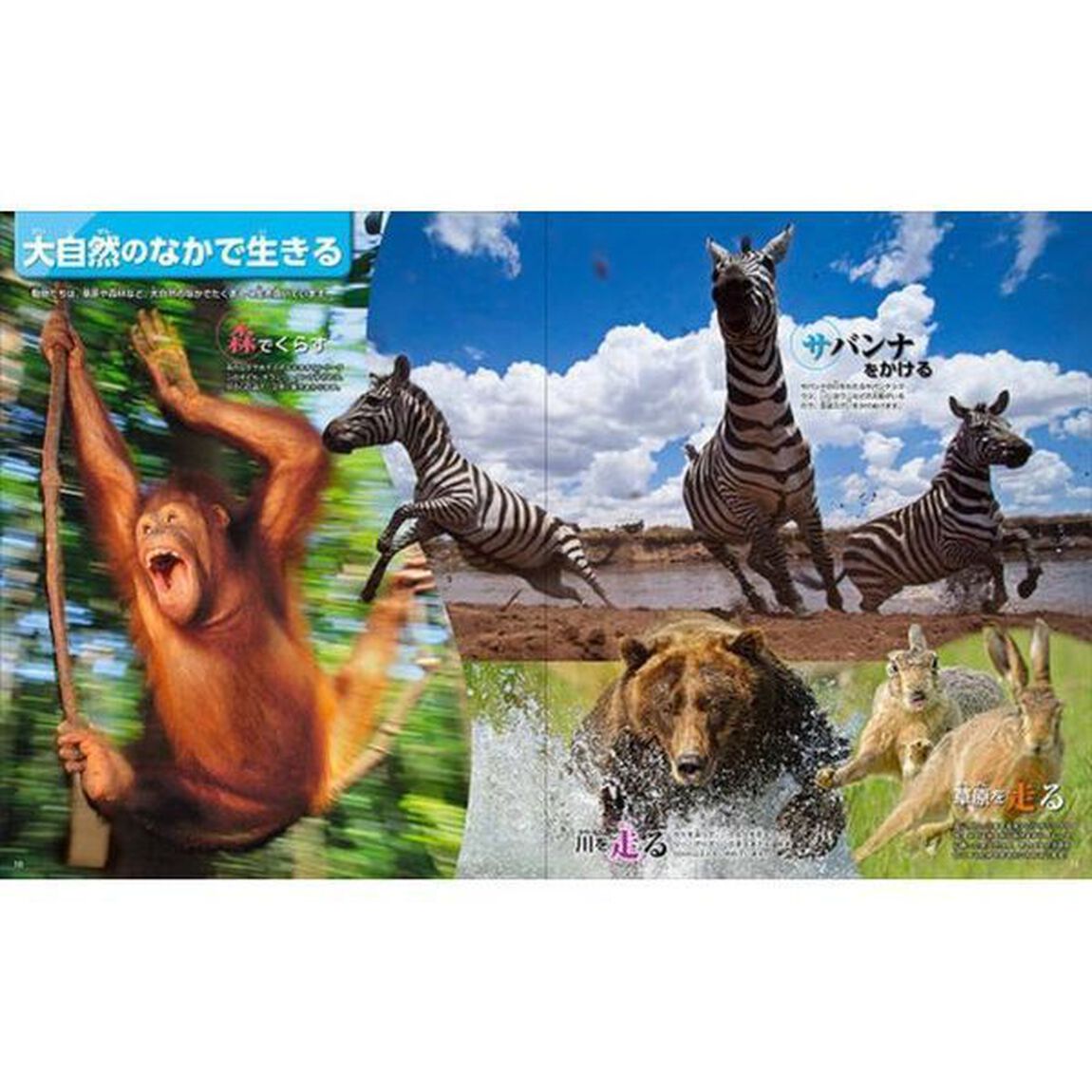 DVD付 動物 新訂版 (講談社の動く図鑑MOVE)　（セブンネット限定特典付き）