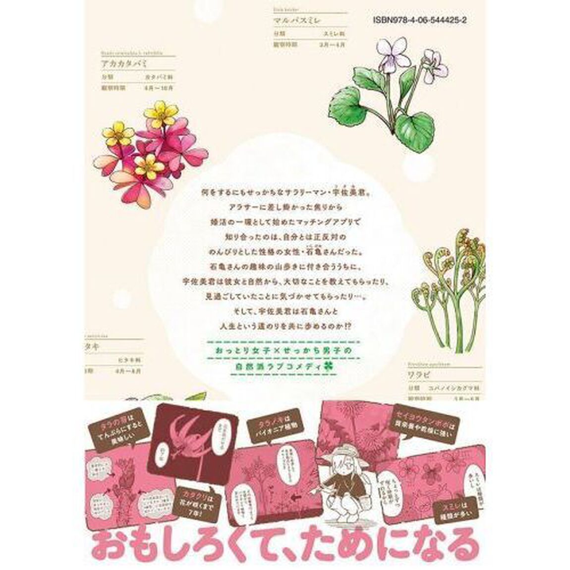 ウサギとカメのゆる山歩　１