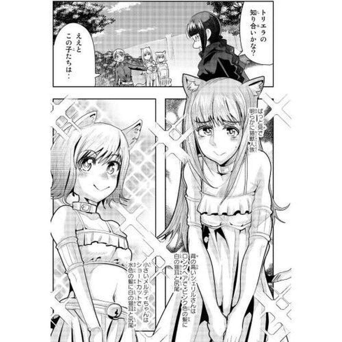 よくわからないけれど異世界に転生していたようです 11