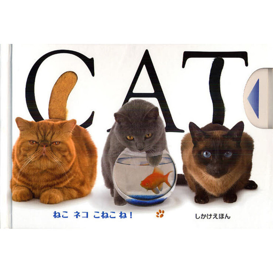 ねこネコこねこね！