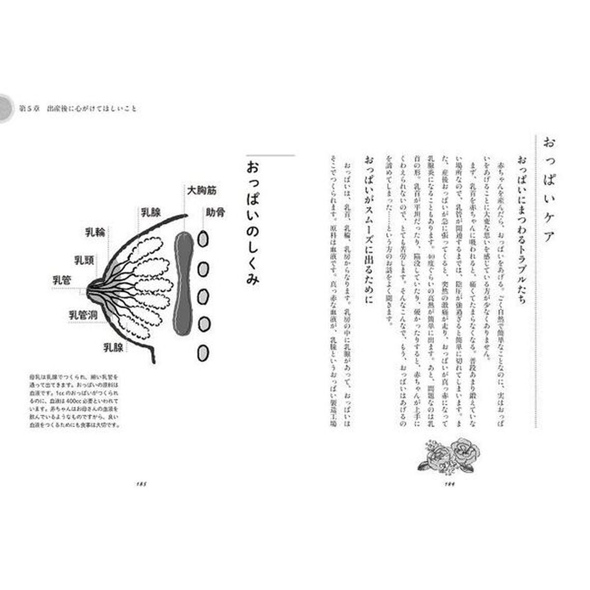 まってるね赤ちゃん　自然誕生生まれる瞬間から自分らしく生きる「改訂版」