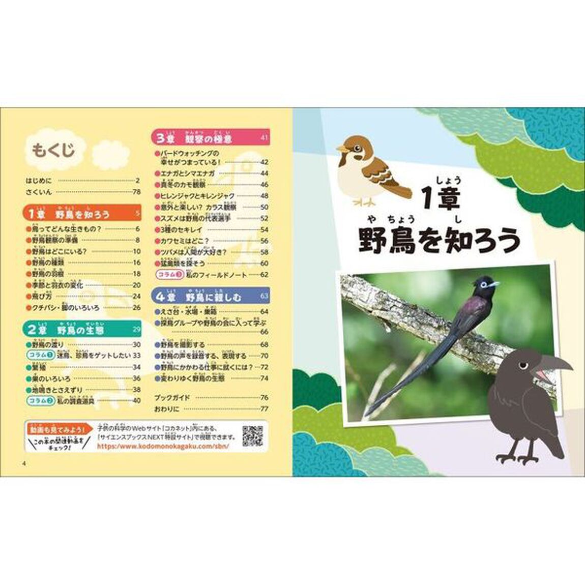 フィールドに出かけよう！野鳥の観察入門　身近な鳥から渡り鳥まで