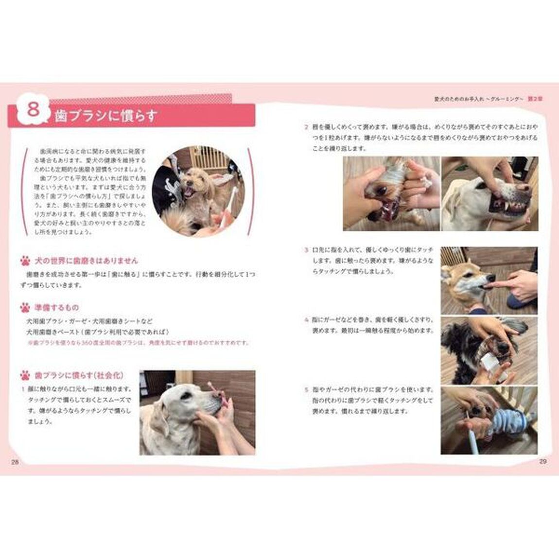 愛犬の健康を守る飼い主のための&ldquo;犬のお手入れ&rdquo;の教科書