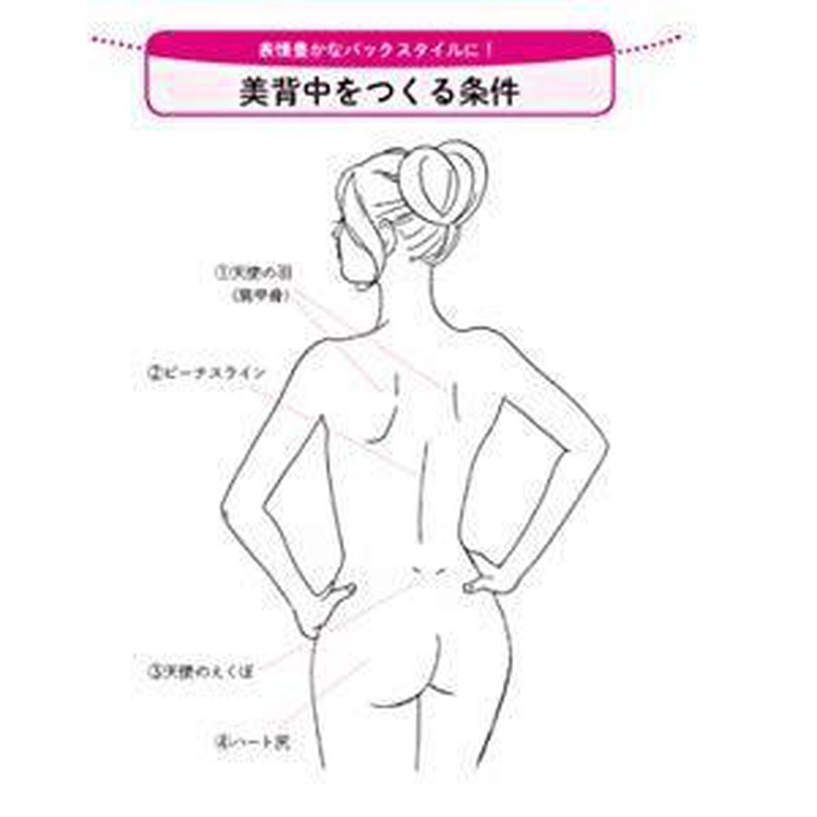 肩甲骨リセットで「背中」と「おしり」が面白いほどやせる! (青春文庫)
