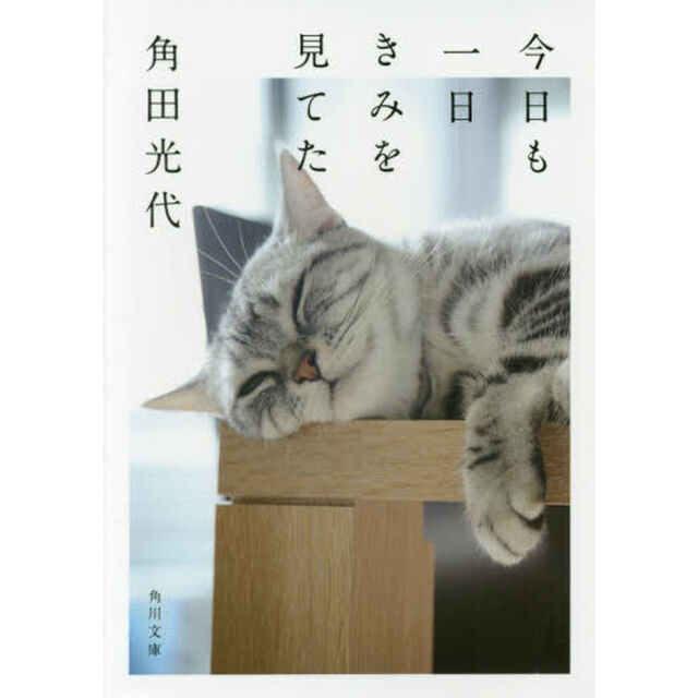 今日も一日きみを見てた