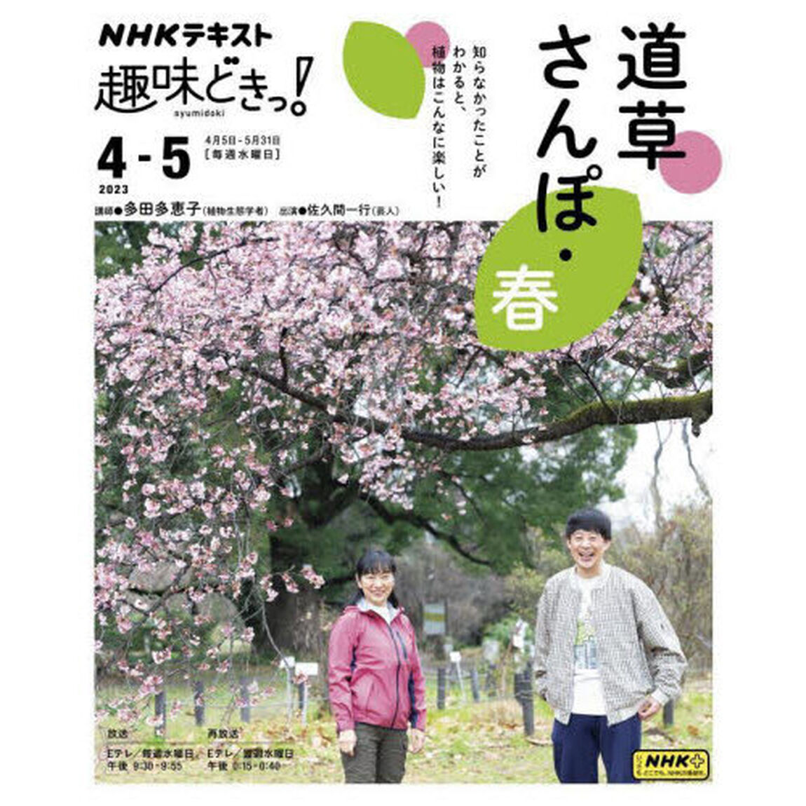 道草さんぽ　春