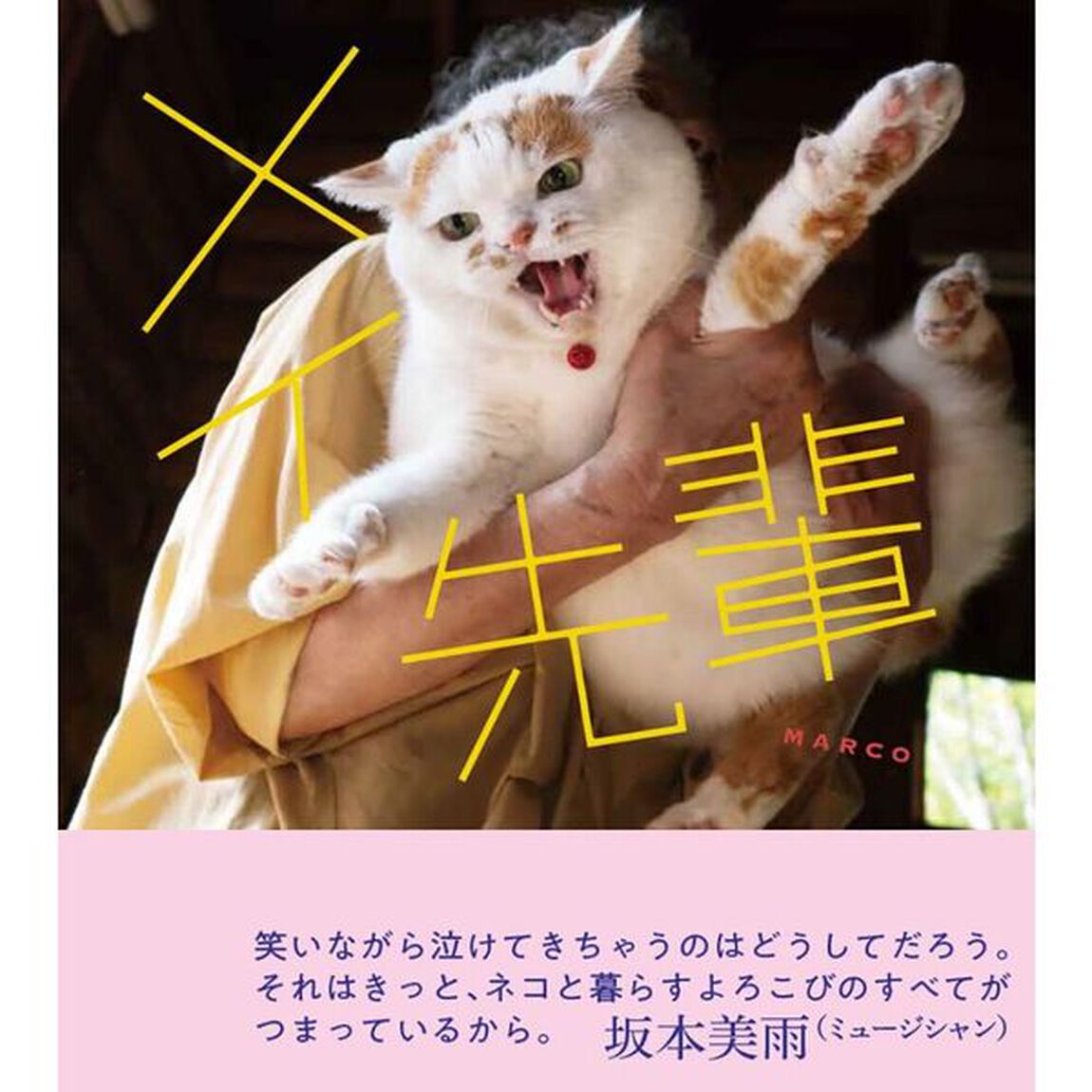メイ先輩