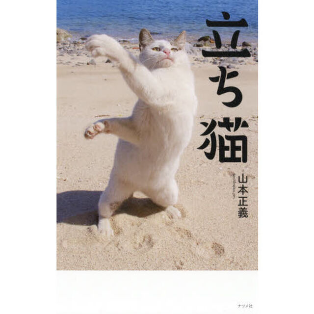 立ち猫　まるで人間！？ユニークな立ち姿から目が離せない！