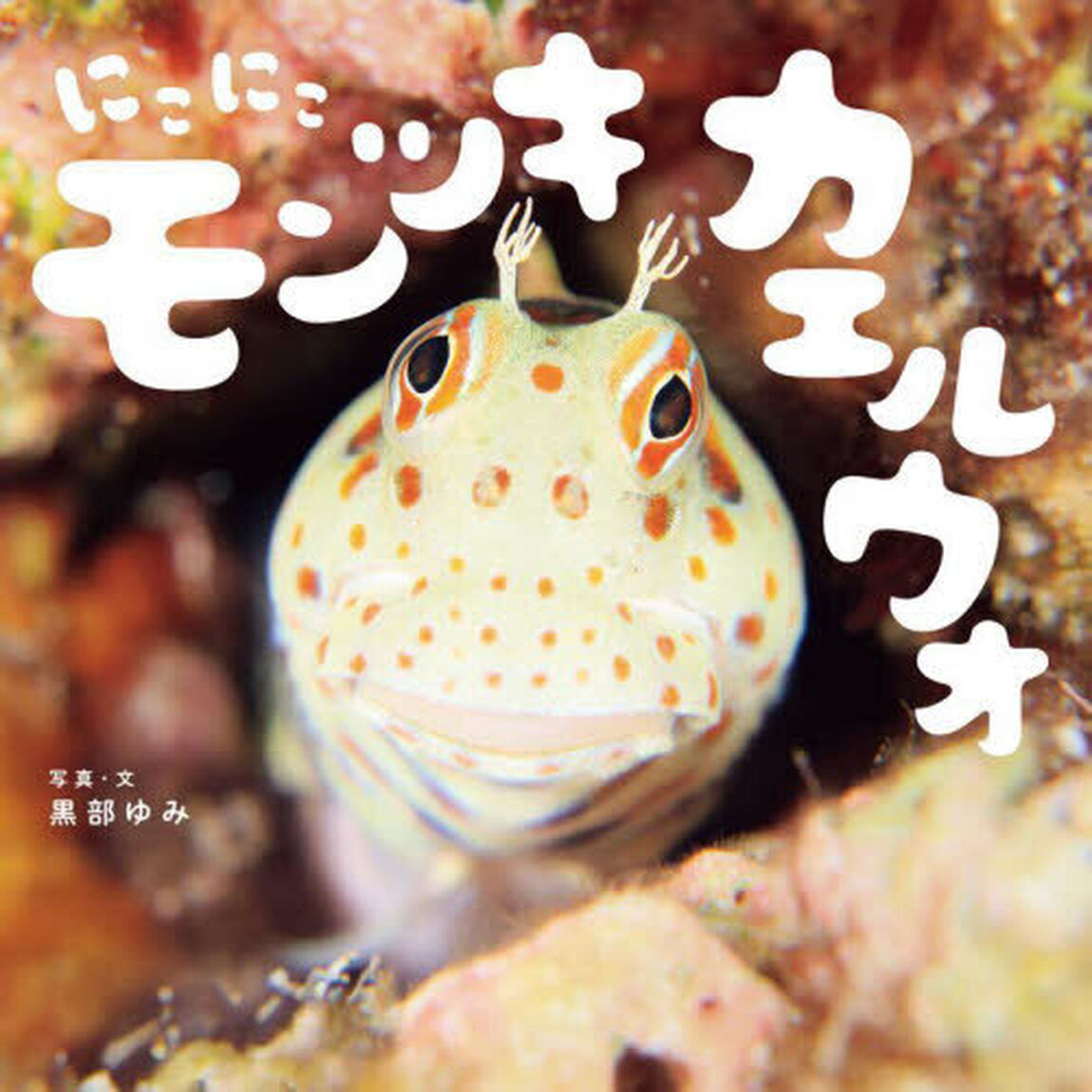 にこにこモンツキカエルウオ