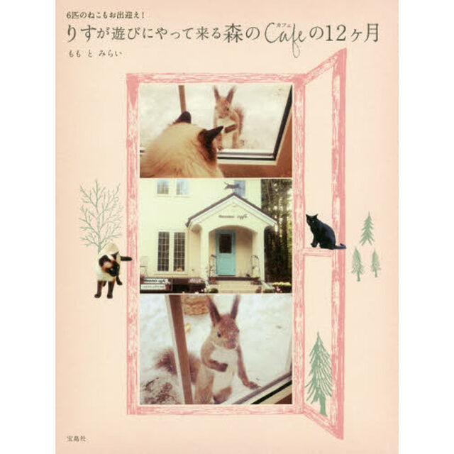 りすが遊びにやって来る森のカフェの12ヶ月