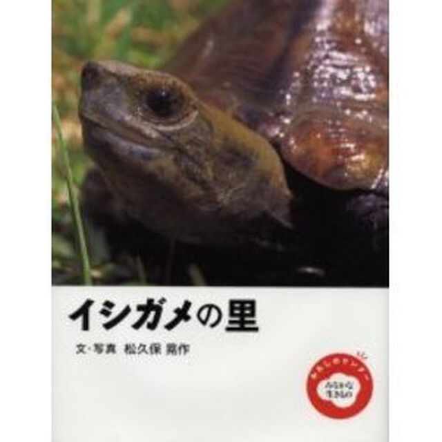 イシガメの里