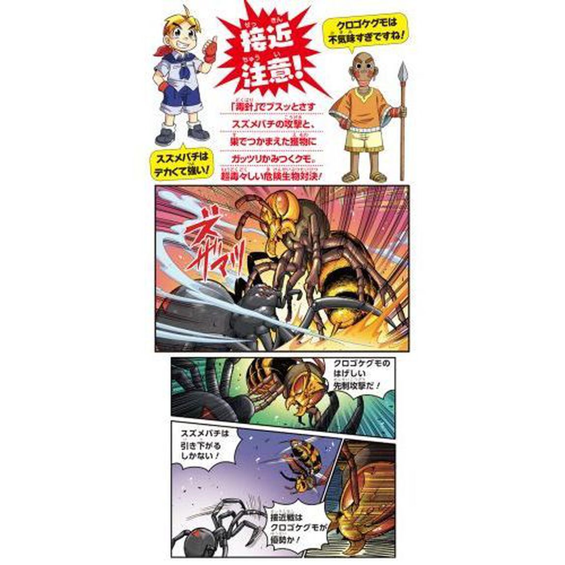 どっちが強い！？ハチＶＳ（たい）クモ　危険生物の必殺バトル