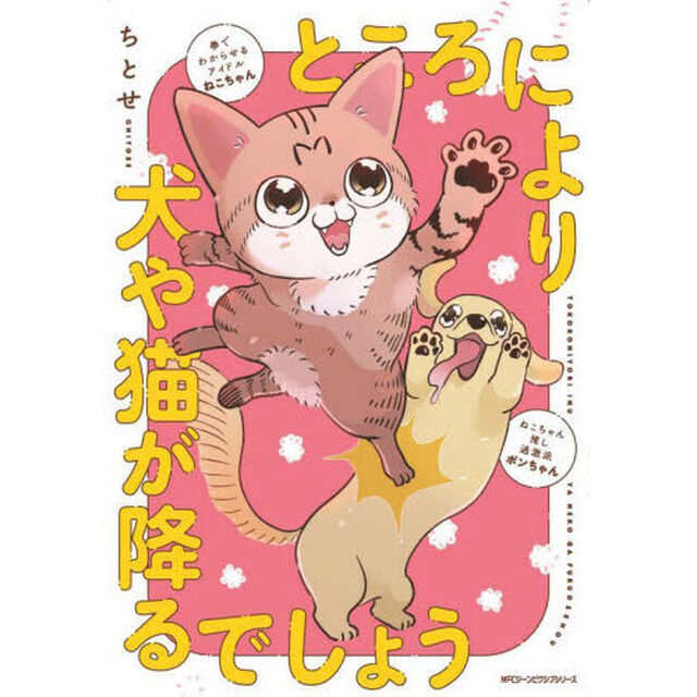 ところにより犬や猫が降るでしょう
