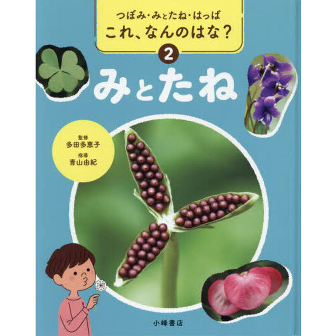 これ、なんのはな？　つぼみ・みとたね・はっぱ　２「みとたね」
