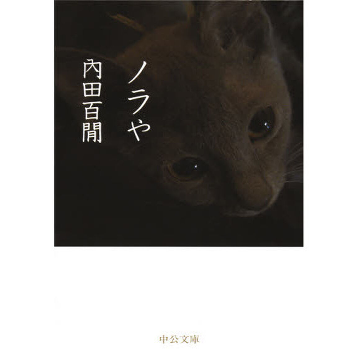 ノラや「改版」