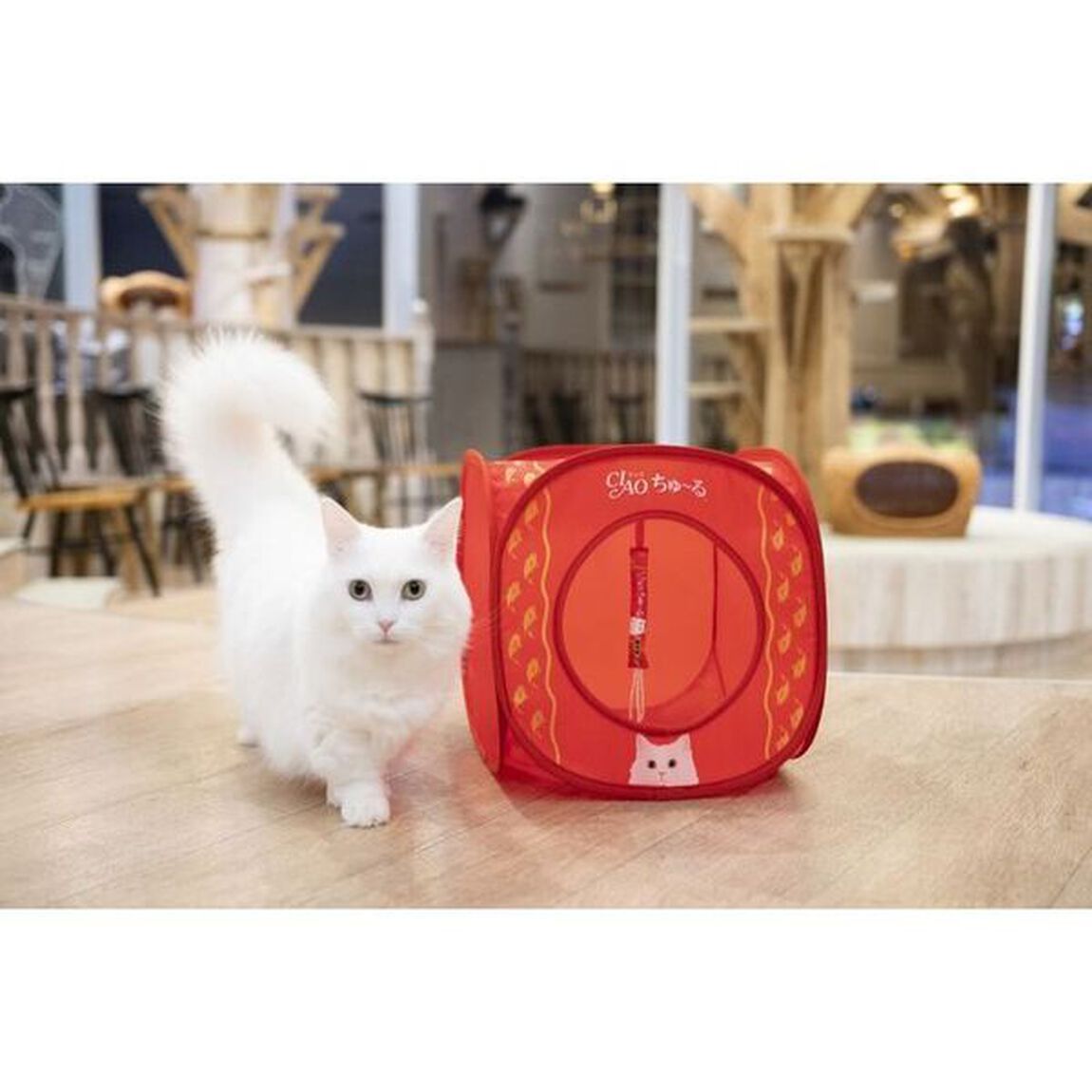 CIAOちゅ〜る 世界の猫を喜ばす キャットハウスBOOK (バラエティ)