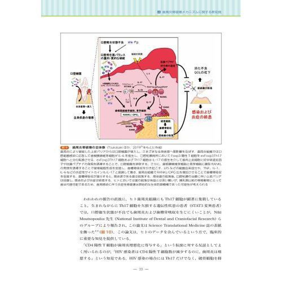 歯学生・歯科医療従事者のための骨免疫学