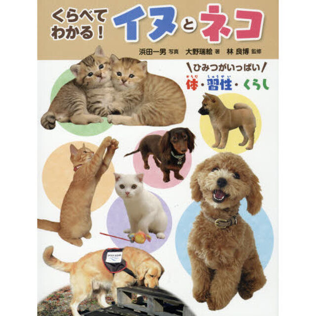 くらべてわかる！イヌとネコ　ひみつがいっぱい体・習性・くらし