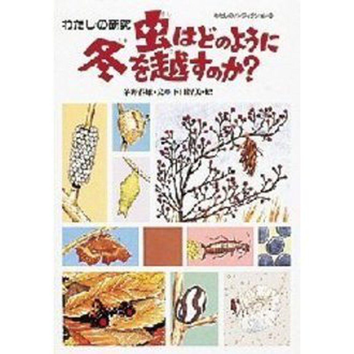 虫はどのように冬を越すのか？　わたしの研究