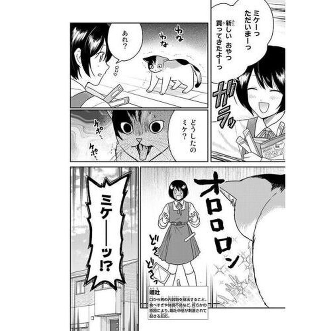 はたらく細胞猫　１
