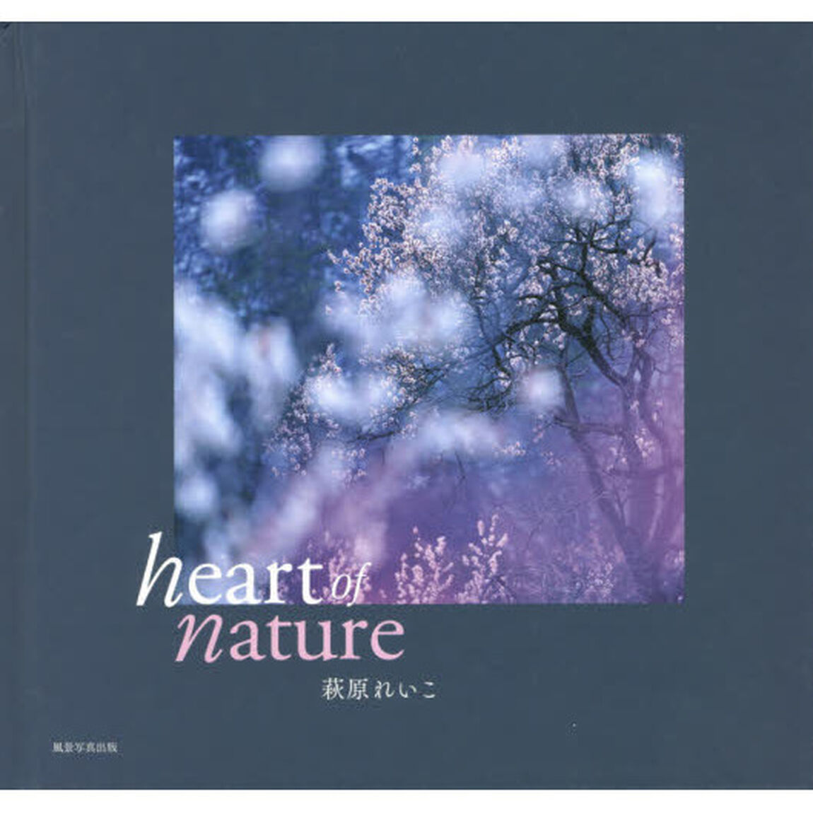 ｈｅａｒｔ　ｏｆ　ｎａｔｕｒｅ