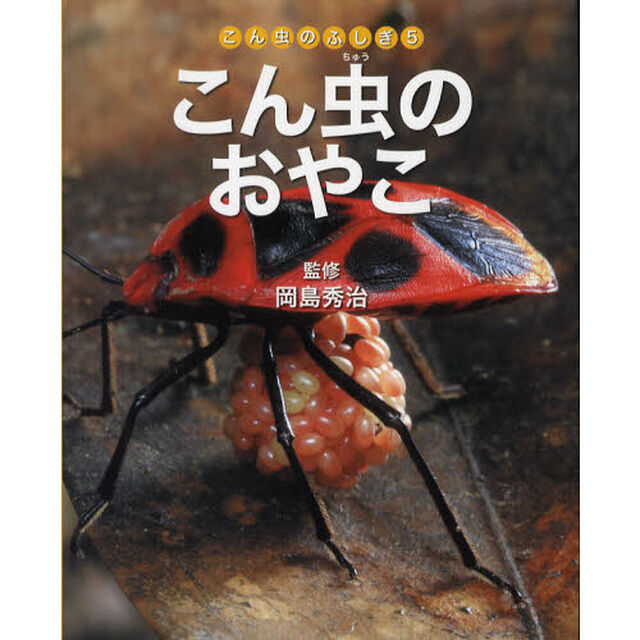 こん虫のふしぎ　５「こん虫のおやこ」