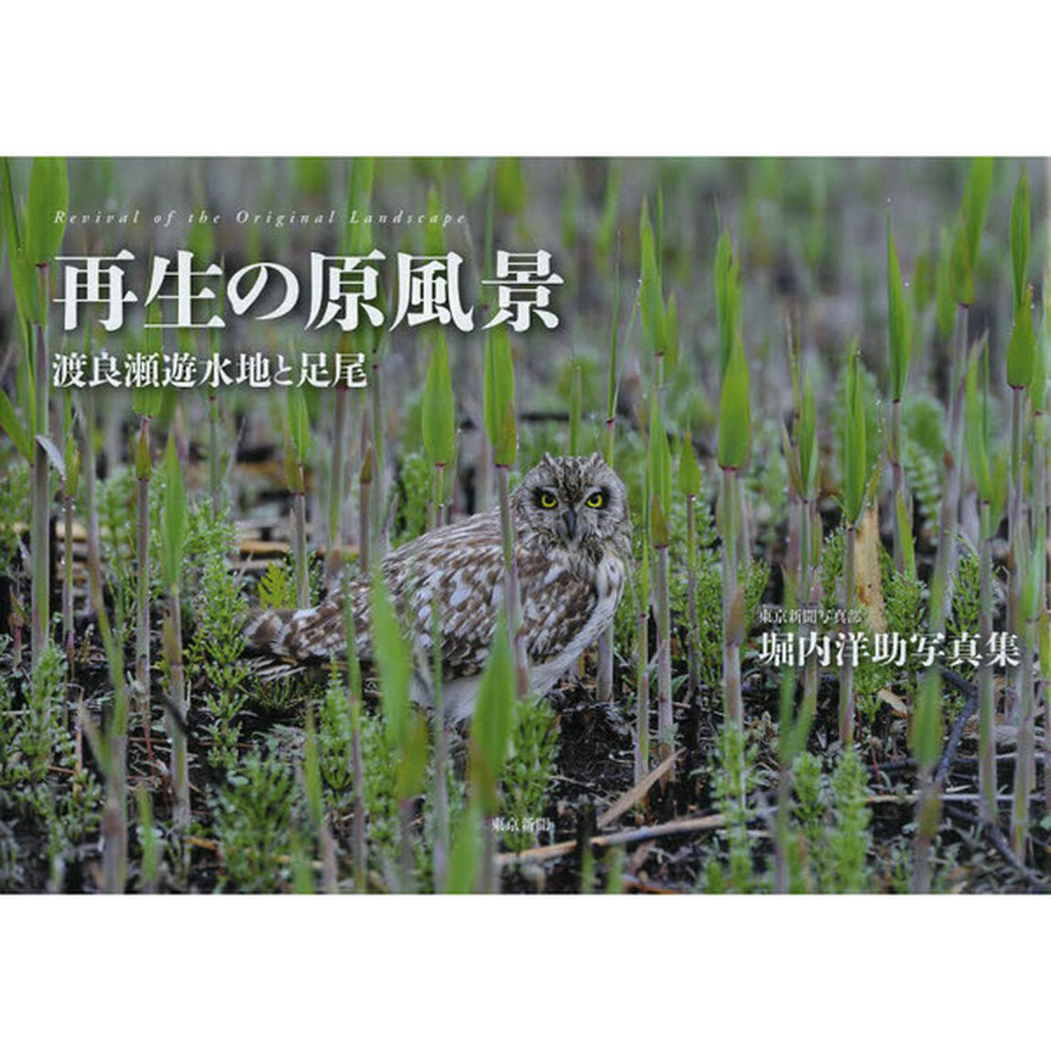 再生の原風景 渡良瀬遊水地と足尾