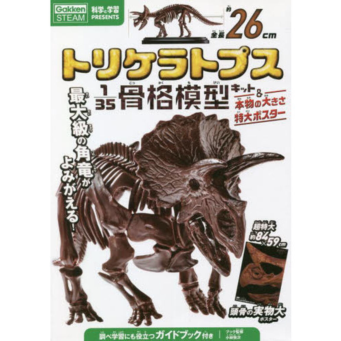 トリケラトプス1/35骨格模型キット&本物の大きさ特大ポスター