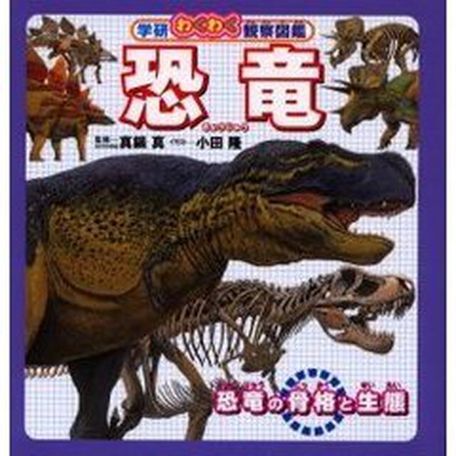 恐竜　恐竜の骨格と生態