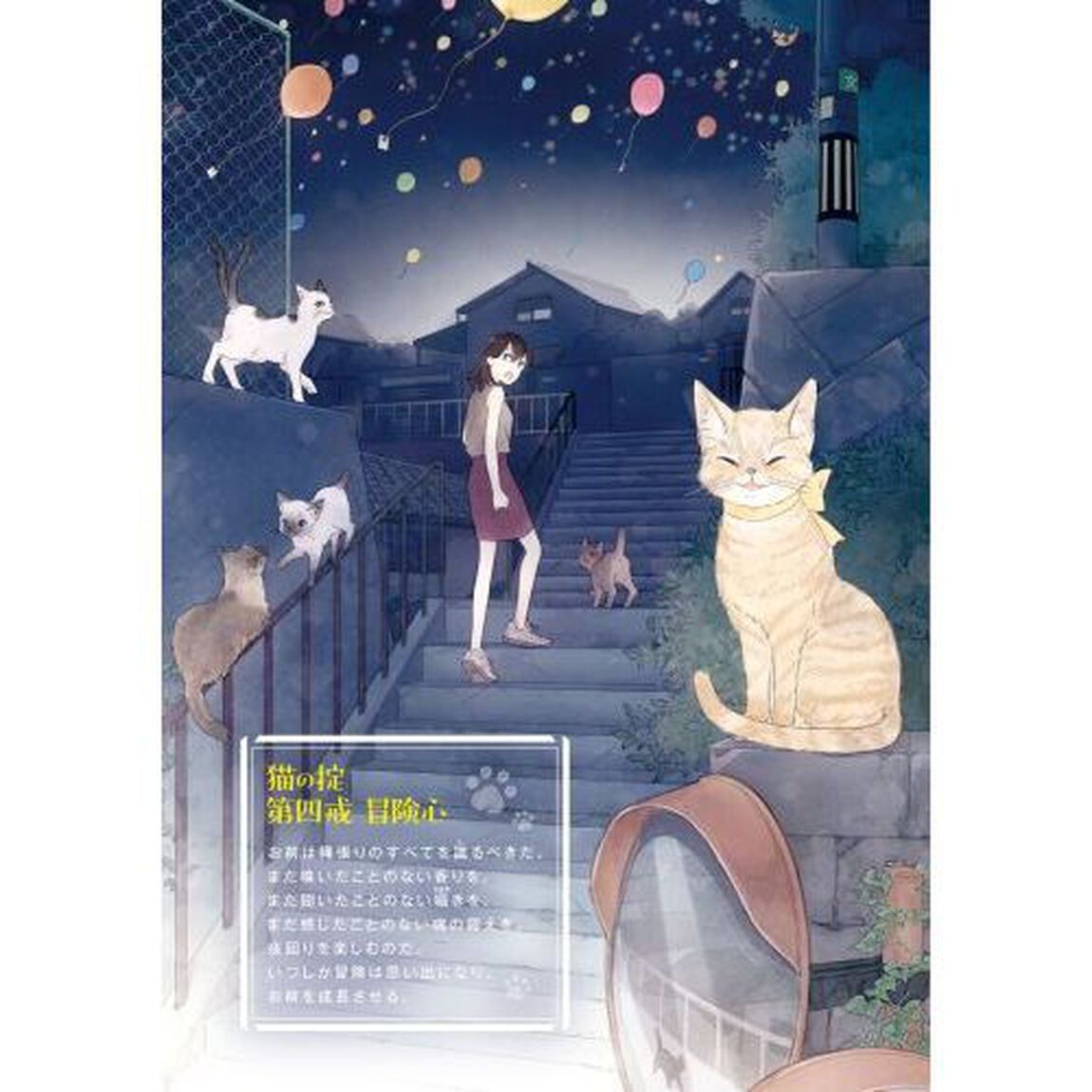 夜のあしあと