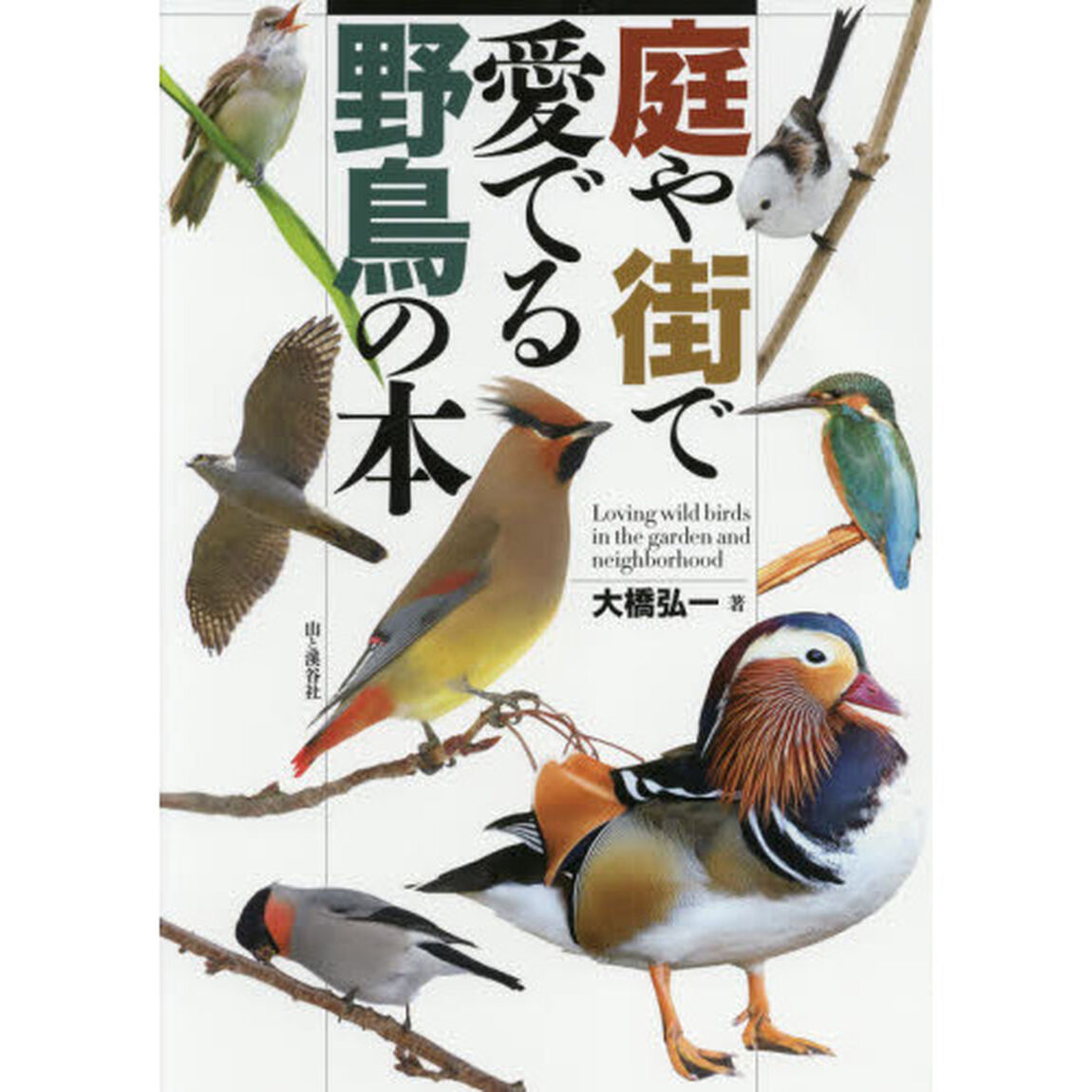 庭や街で愛でる野鳥の本