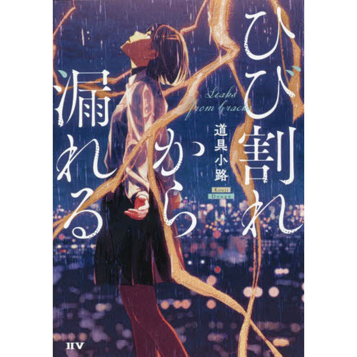 ひび割れから漏れる