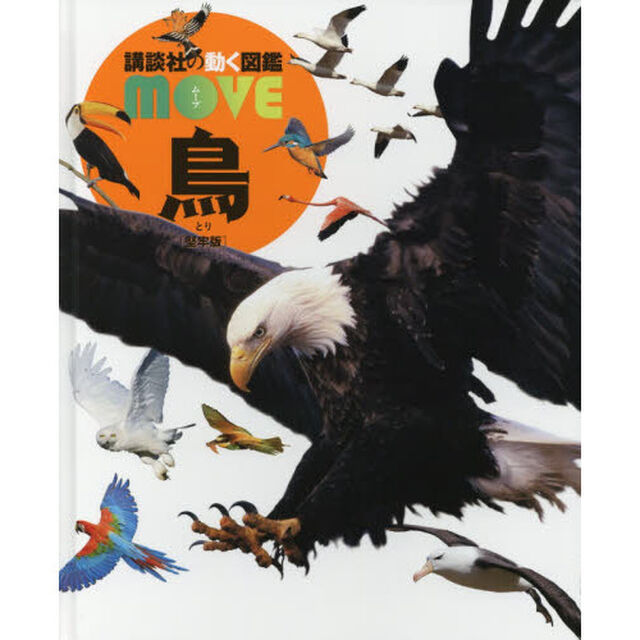 鳥　堅牢版